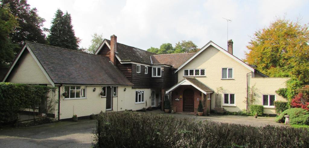 Little Forest Lodge Ringwood Eksteriør billede
