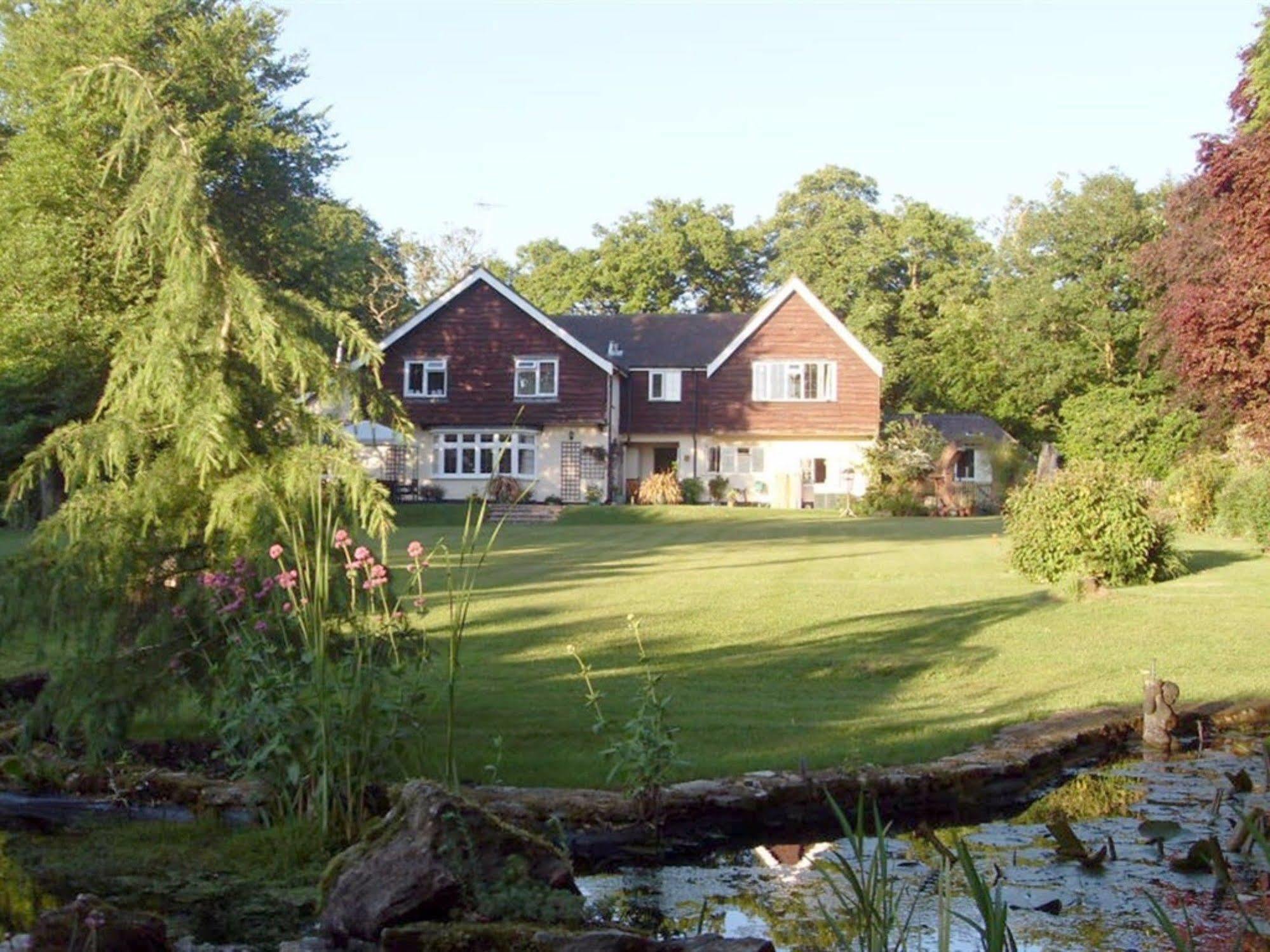 Little Forest Lodge Ringwood Eksteriør billede